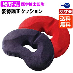 【あす楽】勝野式 座るだけで骨盤キュッとクッション 送料無料骨盤回りをキュッと骨盤補正 姿勢矯正 骨盤矯正の低反発マッサージクッション