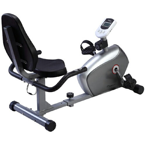 【2020年9月上旬頃入荷予定】ダイコウ DAIKOU リカンベントバイク DK-8304R 【代引き不可】