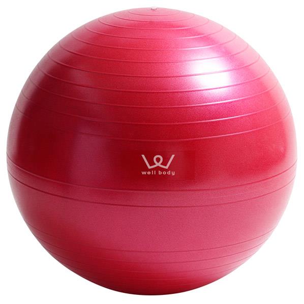 アルインコ エクササイズボール55cm well body ピンク WBN055P [WBN055P]【SSPP】