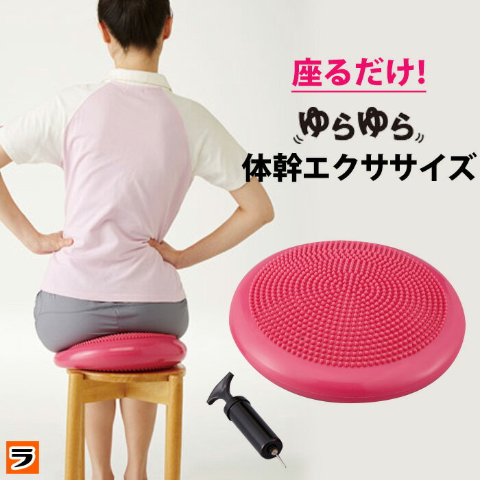 骨盤 バランスクッション バランスディスク ポンプ付き 体幹トレーニング 椅子 オフィス 体幹筋 ながらダイエット 体幹エクササイズ