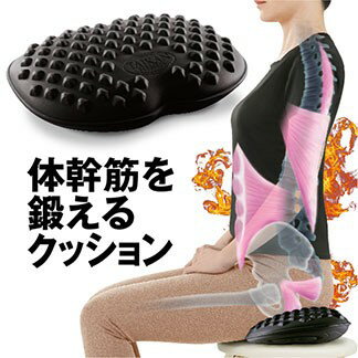 体幹筋シェイプエクササイズマット 1日10分座るだけ 骨盤底筋エクササイズ あす楽 送料無料　北海道・沖縄・離島への発送は定形外郵便