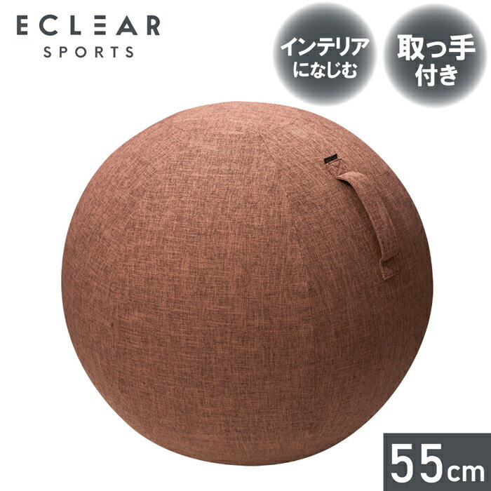 エレコム バランスボールカバー/55cm/ブラウン HCF-BBC55BR